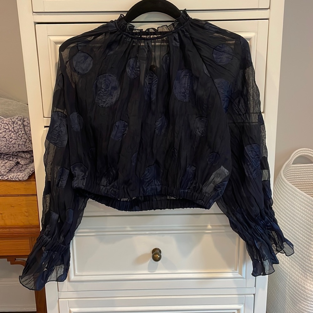 Zara Sheer Navy Long Sleeve Top